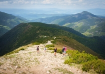 Koncoročný